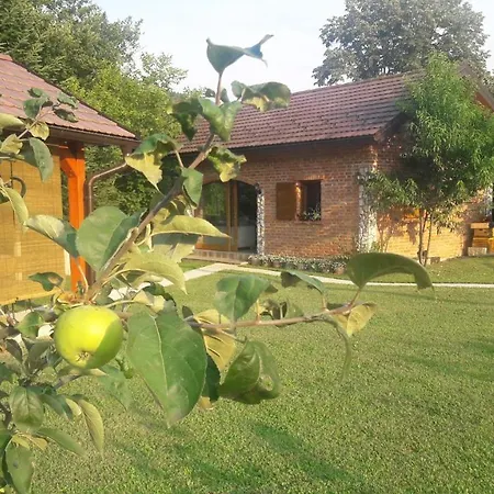 Holiday Zeleni Vir * Banja Luka